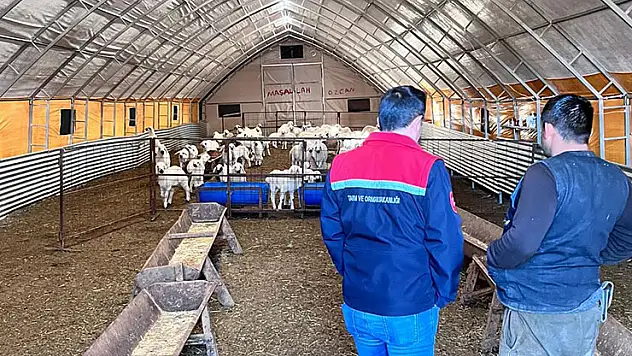 Bozkır'da çadır ağıllar üreticiye teslim edildi