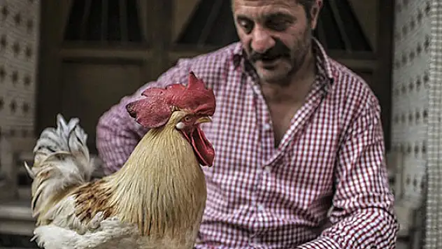'Bu Behlül başka Behlül'