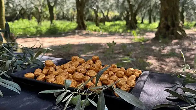 Bu da oldu... Altın kaplamalı zeytin yok satıyor
