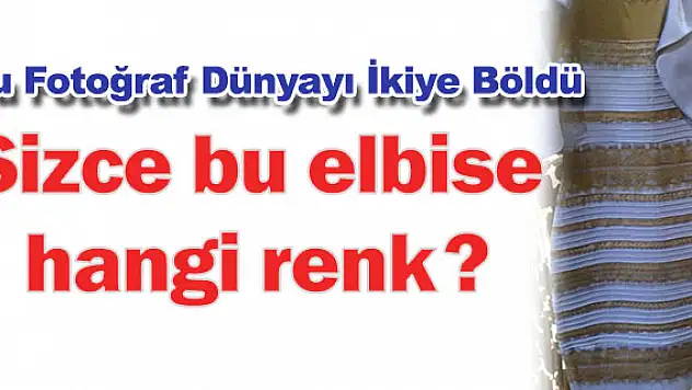 Bu fotoğraf dünyayı ikiye böldü