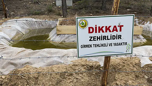 Bu havuzlar, ormanları zararlılardan koruyor