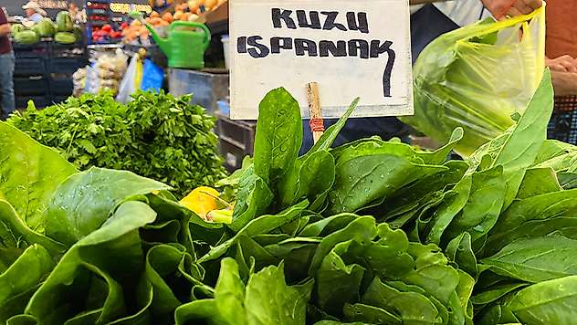 Bu iki otu karıştıran soluğu hastanede alıyor
