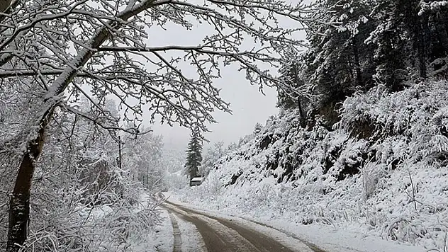 Bu illerde yaşayanlar dikkat! Batı Karadeniz için kuvvetli kar uyarısı yapıldı
