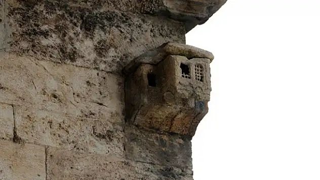 Bu Kuş Evi Tam 339 Yaşında