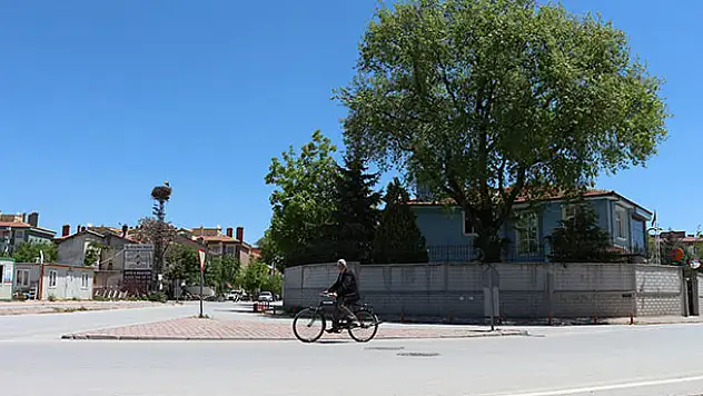 Bu leylek Konya'da 40 yıldır aynı elektrik direğinde konaklıyor