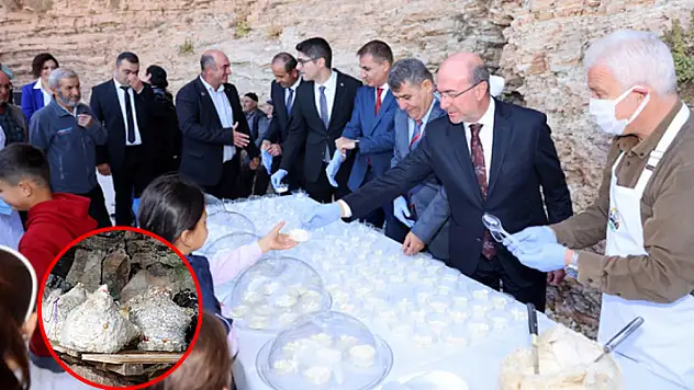 Bu tulum başka tulum! Konya'da peynir tulumundan ilk hasat gerçekleştirildi