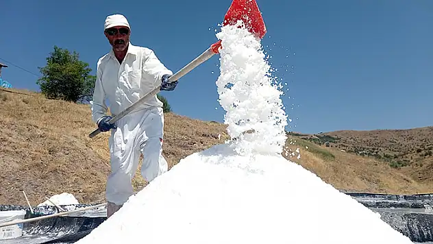 Bu tuzun içinde insan sağlığına yararlı 84 mineral bulunuyor
