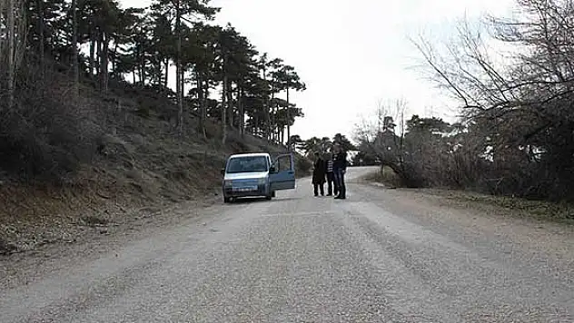 Bu yolda araçlar kendi kendine hareket ediyor
