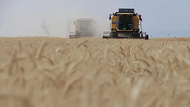 Buğday rekoltesinin bu yıl 19 milyon ton civarında olması bekleniyor