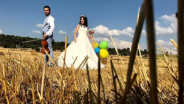 Buğday tarlaları fotoğraf sütüdyosu oldu