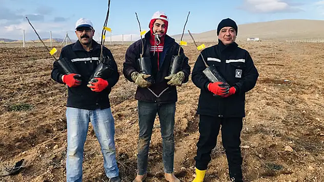 Buğdayın memleketi Ilgın'da ceviz ve badem yetiştirecekler
