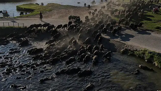 Burası Afrika değil Kayseri
