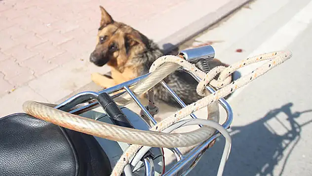 Burası Konya! Köpeği motosiklete bağlayıp sürüklediler