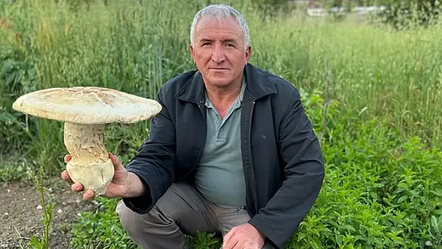 Burdur'da 2 kiloluk dev mantar görenleri şaşırttı
