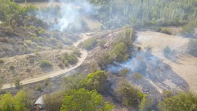 Burdur'da ağaçlık alandaki yangın köylülerin imece usulüyle söndürüldü
