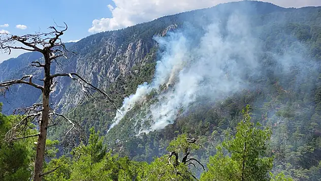 Burdur'da Karanlıkdere Kanyonu'ndaki orman yangınına müdahale sürüyor
