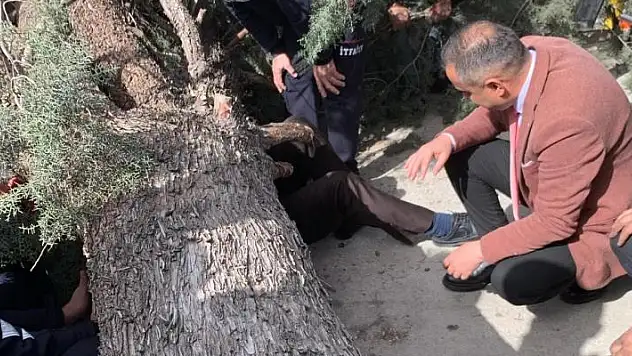 Burdur'da üzerine ağaç devrilen belediye başkan adayı ve oğlu ağır yaralandı
