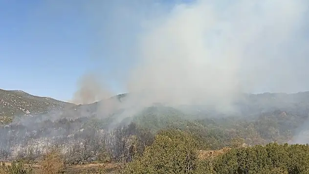 Burdur'da ormanlık alanda çıkan yangına müdahale ediliyor
