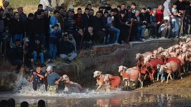 Burdur'un 750 yıllık Yörük geleneği 'Yünüm Böğet' renkli görüntülere sahne oldu