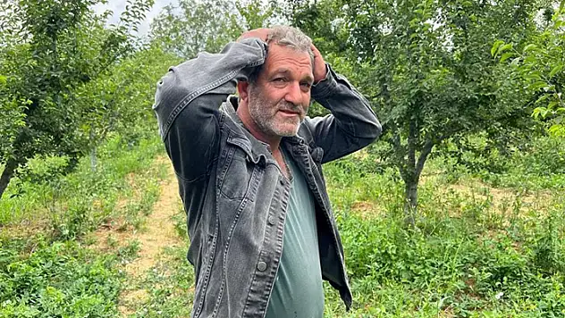 Bursa'da bahçesi soyulan çiftçi hırsızı övdü: Kaliteli bir hırsızlık, çay içmek isterim
