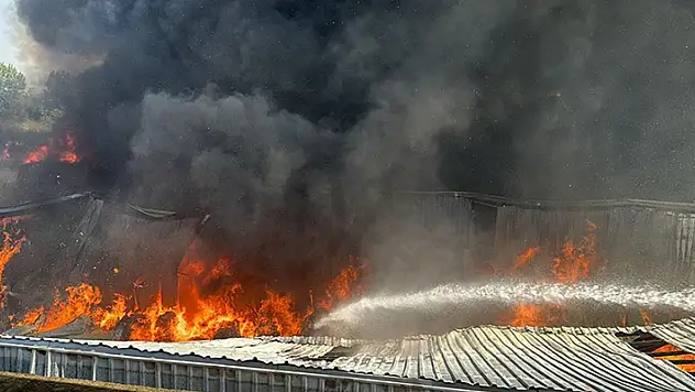 Bursa'da fabrika ve geri dönüşüm tesisinde çıkan yangına müdahale ediliyor
