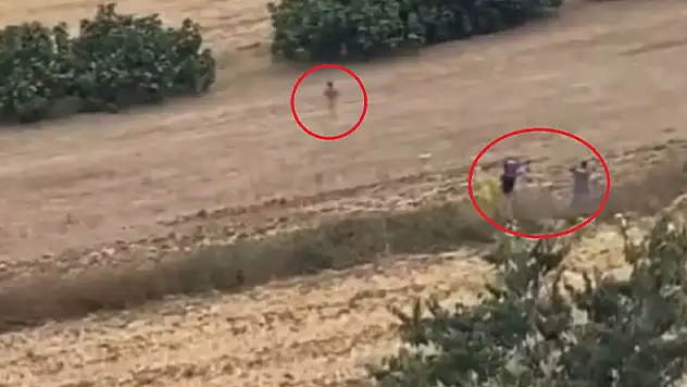 Bursa'da filmleri aratmayan kovalamaca: Şüpheli kaçtı, polis tarlada kovaladı
