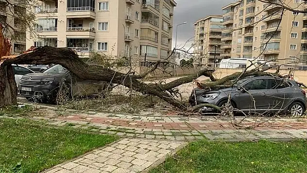 Bursa'da lodos hayatı felç etti: Ağaçları devirdi, çöp konteynerlerini sürükledi
