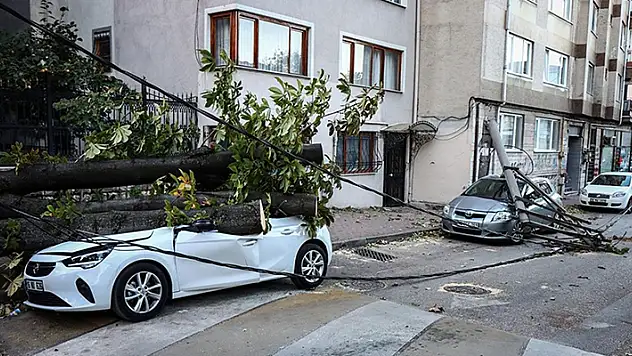 Bursa'da lodos nedeniyle ağaç ve elektrik direği araçların üzerine devrildi

