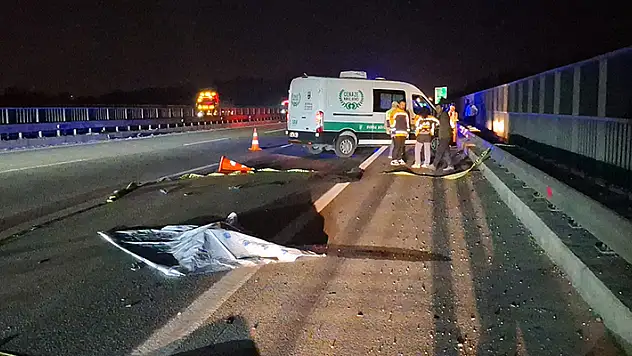 Bursa'da, otoyolda yürürken otomobilin çarpmasıyla öldü
