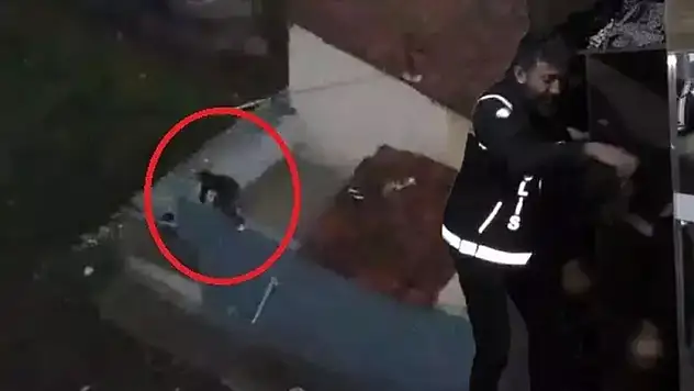 Bursa'da 'Şimşek' operasyonu! Torbacılar çatıdan kaçtı, gardıropta yakalandı
