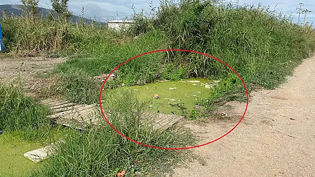 Bursa'da sulama kanalına düşen 2 yaşındaki Suriye uyruklu çocuk öldü
