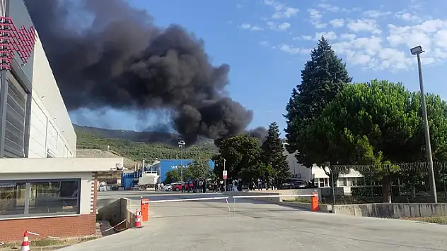 Bursa'da yat fabrikasında yangın: Çalışanlar tahliye edildi
