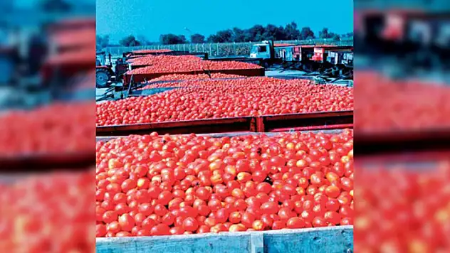 Bursa Karacabey'de salça fabrikası satışa çıkarıldı
