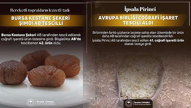 Bursa Kestane Şekeri ile İpsala Pirinci'ne AB'den coğrafi işaret tescili