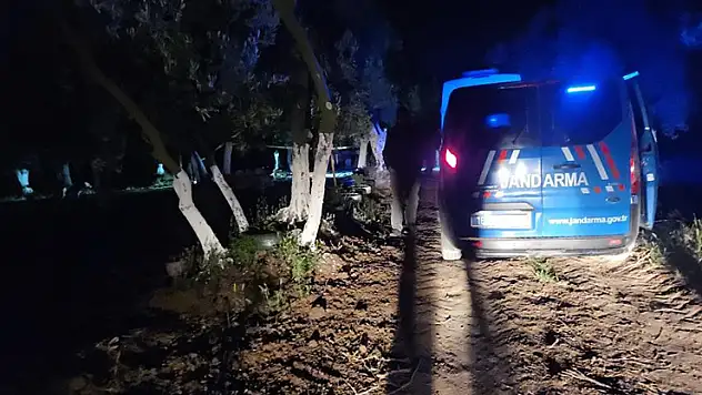 Bursa'da bağ evindeki cinayetin zanlısı tutuklandı