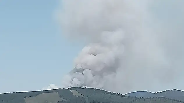 Bursa'da orman yangını karadan ve havadan müdahale ediliyor
