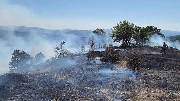 Bursa'da ormanlık alanda çıkan yangına müdahale ediliyor
