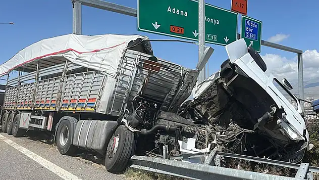 Büyükbaş hayvan yüklü tır devrildi: 2 kişi yaralandı, 7 büyükbaş hayvan telef oldu
