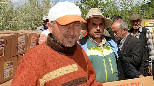 Büyükşehir'den çiftçiye 4 milyon liralık çilek desteği