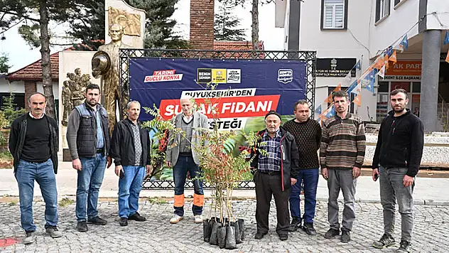 Büyükşehir'den yüzde 75 hibeli fide desteği