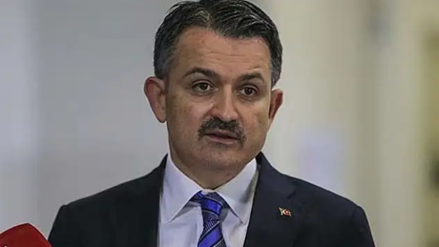 Buzağı destek ödemeleri başlıyor! 826 kişi işe alınacak...