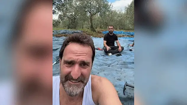 Çakallarla Dans'ın Köfte Necmi'si ilk zeytin hasadını yaptı, işte o anlar