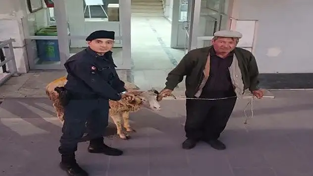 Çalıntı küçükbaş hayvanı sosyal medya üzerinden satmaya çalışan şahıs yakalandı!
