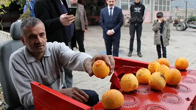 Çamaşır makinesini hurma soyma makinesine dönüştürdü
