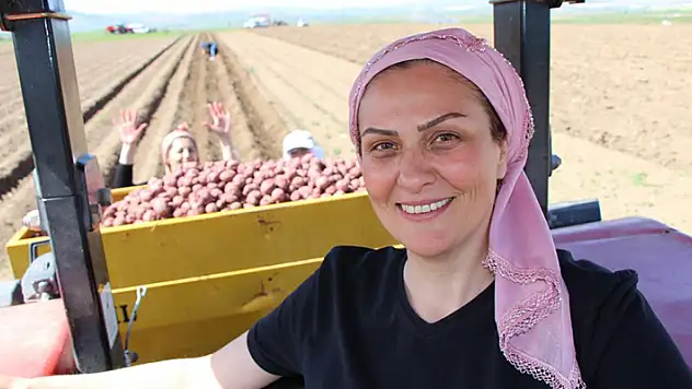 Cambridge mezunu kadın çiftçi, mor patates ekiyor