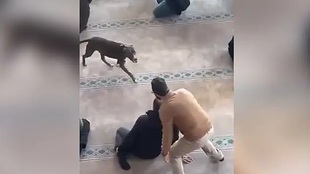 Camiye giren pitbull paniğe neden oldu