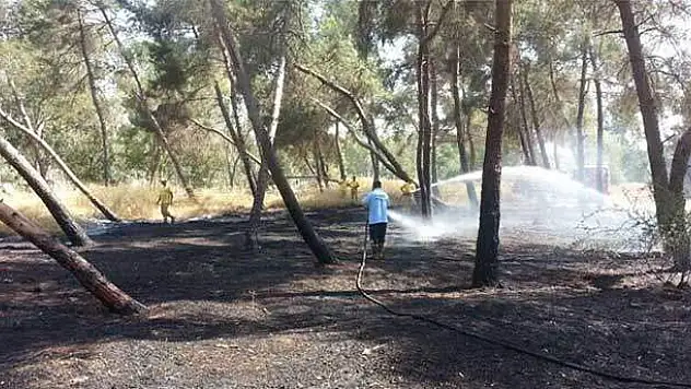 Çamlık alandaki yangın korkuttu