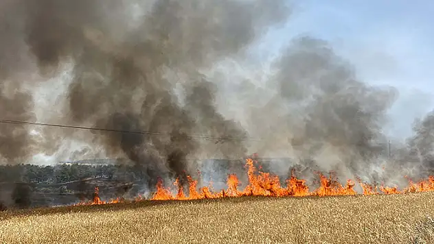Çanakkale'de anız yangını, tarım arazisi ve ormana sıçradı
