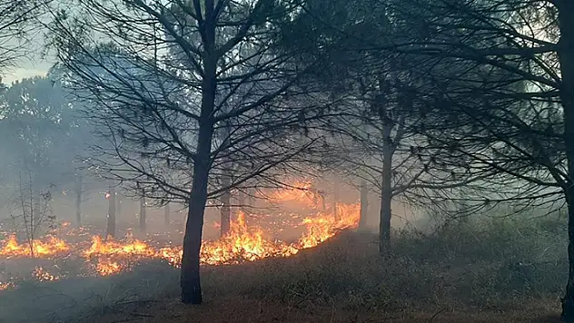 Çanakkale'de çıkan orman yangınında 2,8 hektar alan zarar gördü
