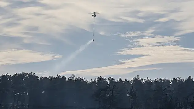 Çanakkale'de çıkan orman yangınında soğutma çalışmaları devam ediyor
